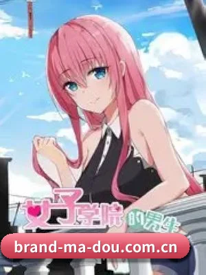 麻豆 APP 深度功能